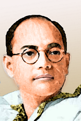 Chandra Bose Filter test resized.png